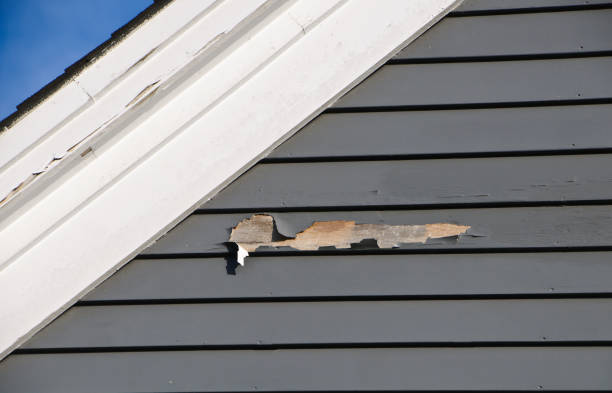 ### Storm Damage Siding Repair in La Blanca, TX